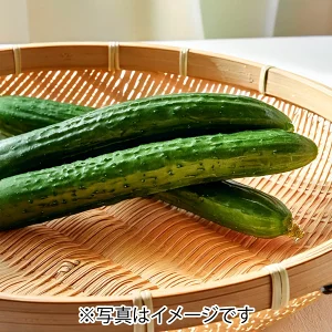Fresh Cucumbers