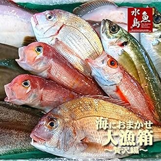 Fresh Fish Set B Fresh Fish Box Assortment Direct Shipping Gift Gift Set Yamagata Prefecture Shonai Fish Seafood Shoku no Miyako Shonai